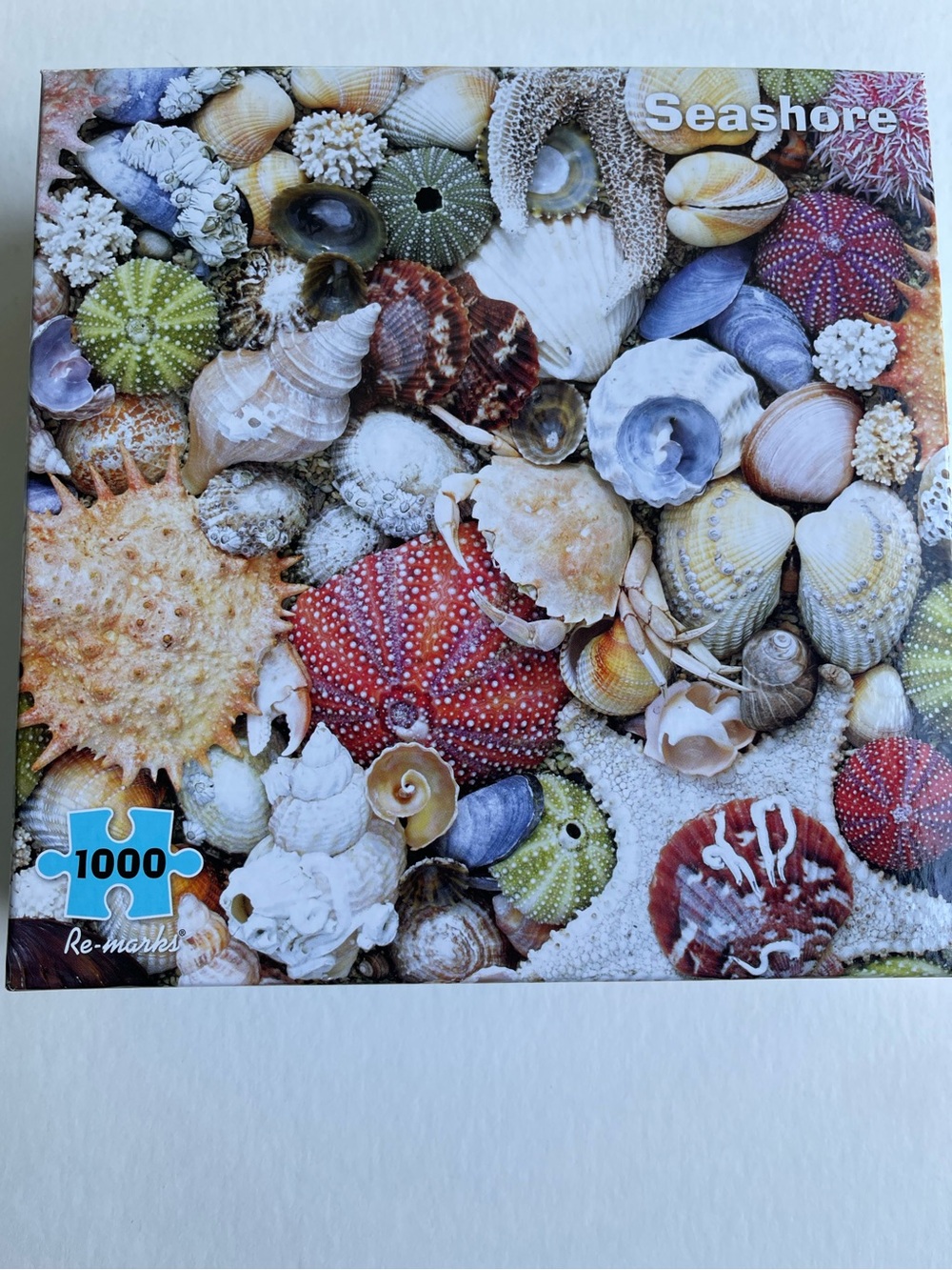 Seashore 1000-Piece Puzzle - Seashell & Sea Urchin Design